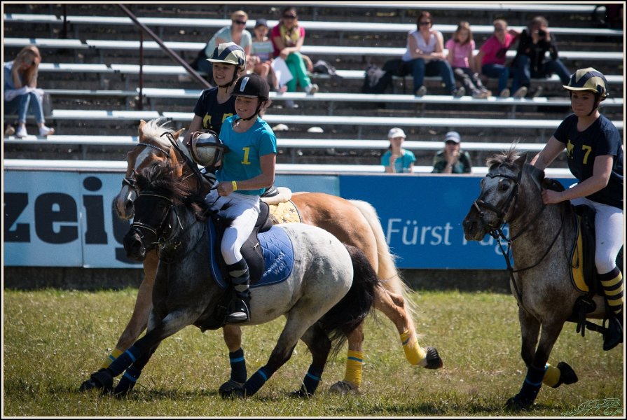 Pferd International 030
